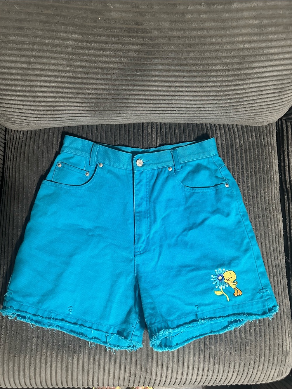 Warner Bros. Turquoise Jean Shorts with Tweety Embroidery